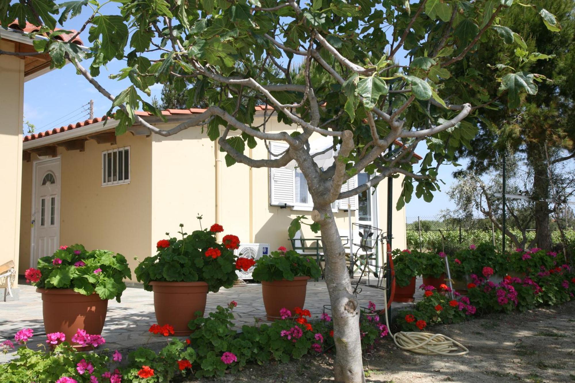 Villa Carina Kounopetra الغرفة الصورة